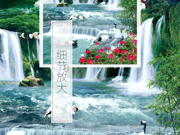 蜘蛛森林逃生